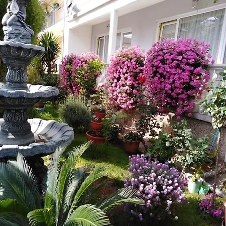 Guest house Punta 3*