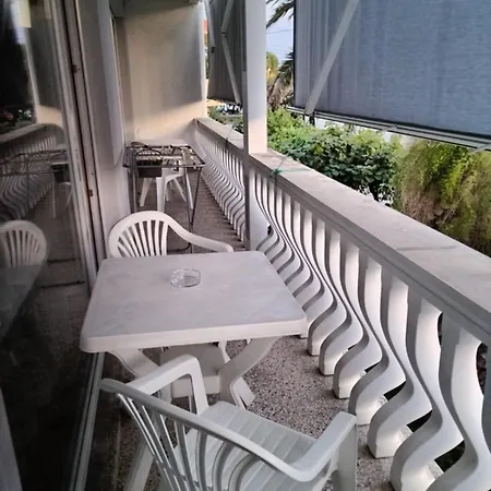 Guest house Punta Zadar
