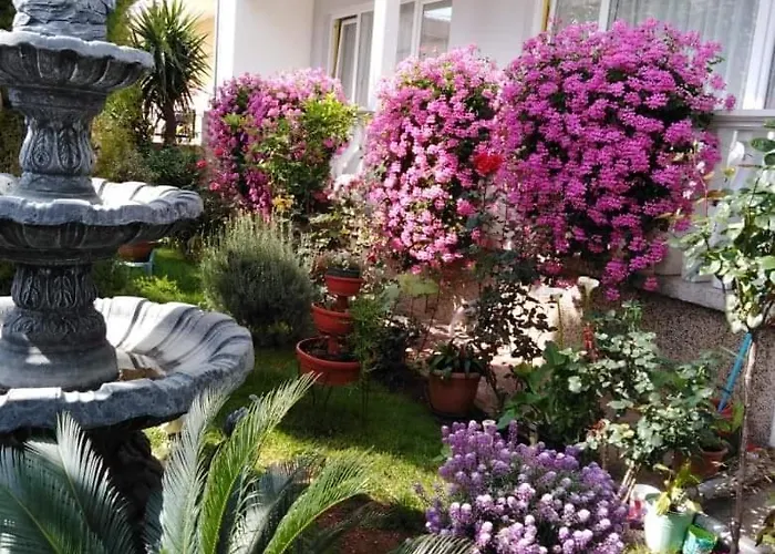 Guest house Punta 4*